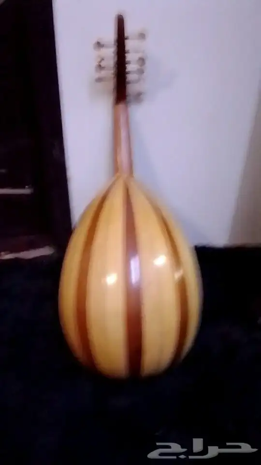 سجل عود مصري كاميرا  كاميرا تصوير 6