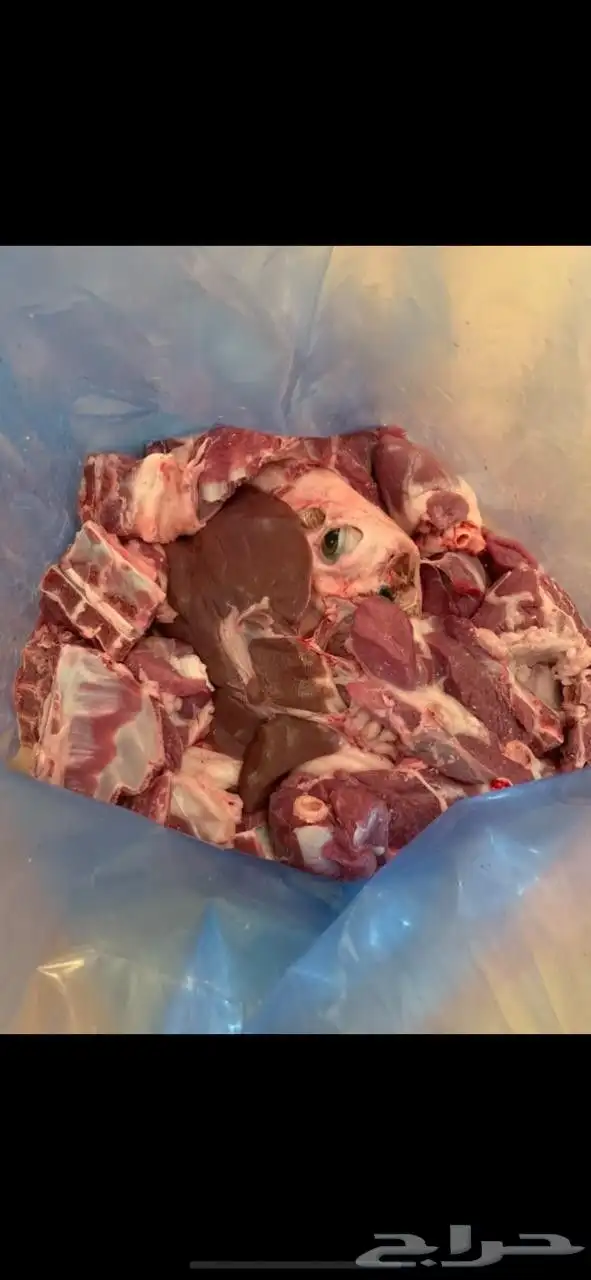 طليان جدعان سواكني حمريات مرابي العدد 5 من 1000 3