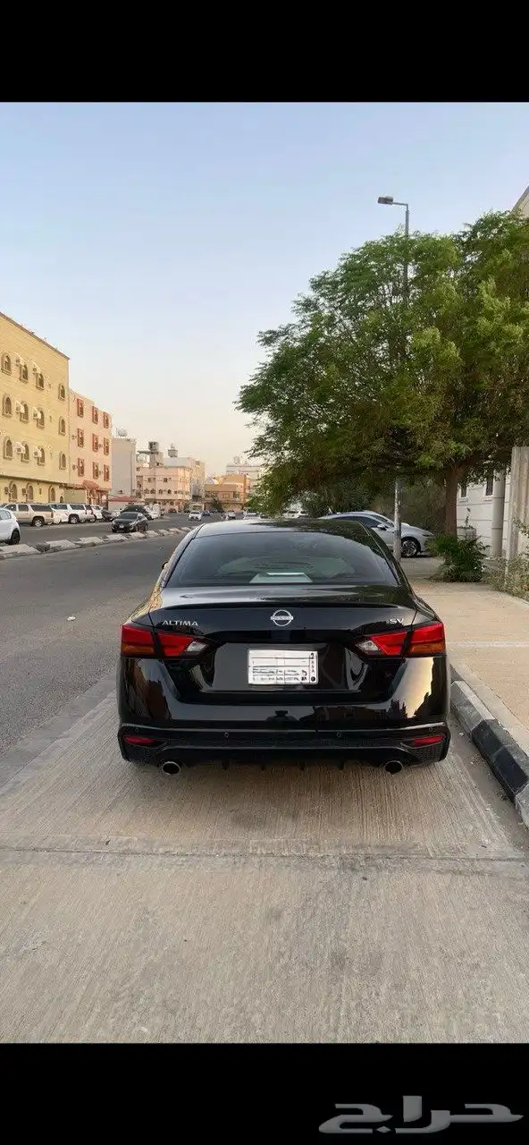 التيما نص فل 2023 2