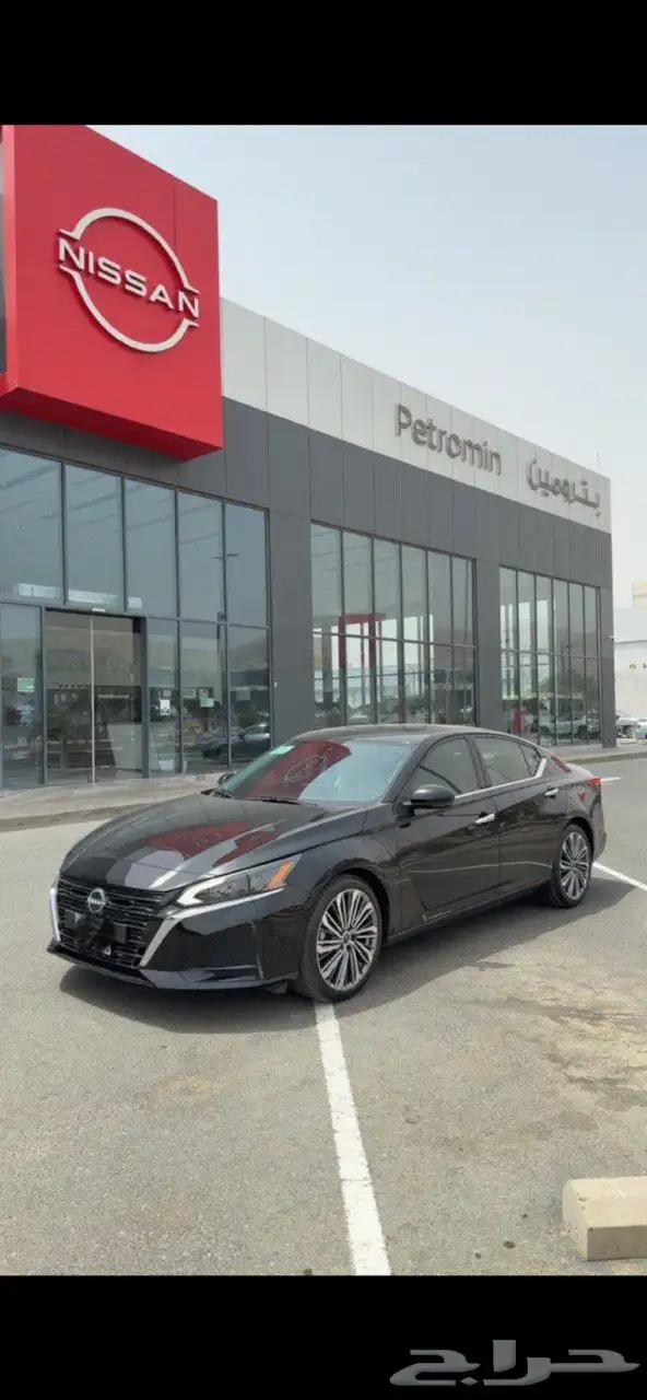 التيما نص فل 2023 3