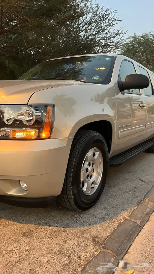 سوبربان 2012 مخزن وكالة سعودي 6