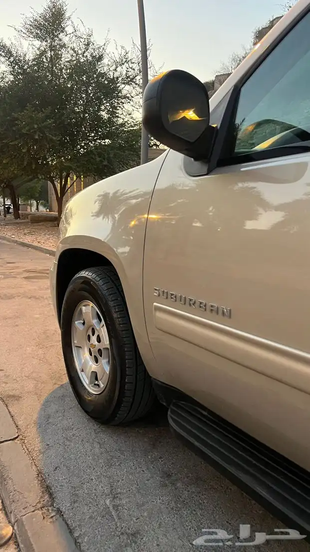 سوبربان 2012 مخزن وكالة سعودي 11