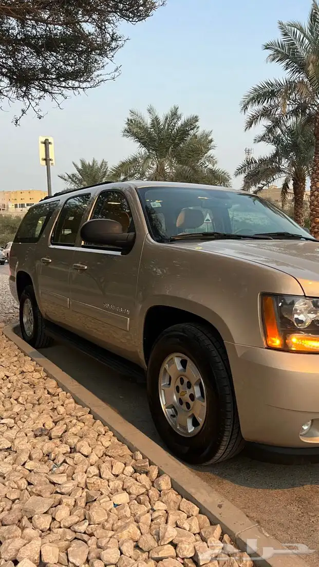 سوبربان 2012 مخزن وكالة سعودي 15