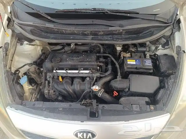 كيا ريو 2014 5