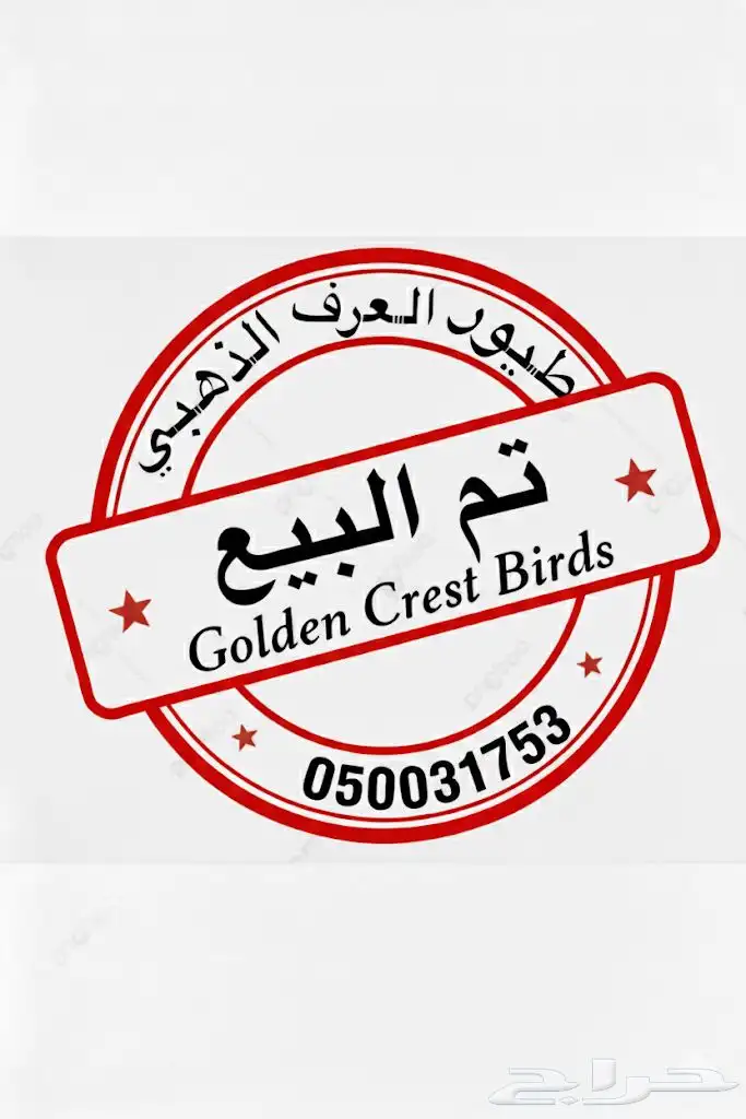 كنيور دبل رد فاكتور ( تم البيع خارج الموقع ) 6