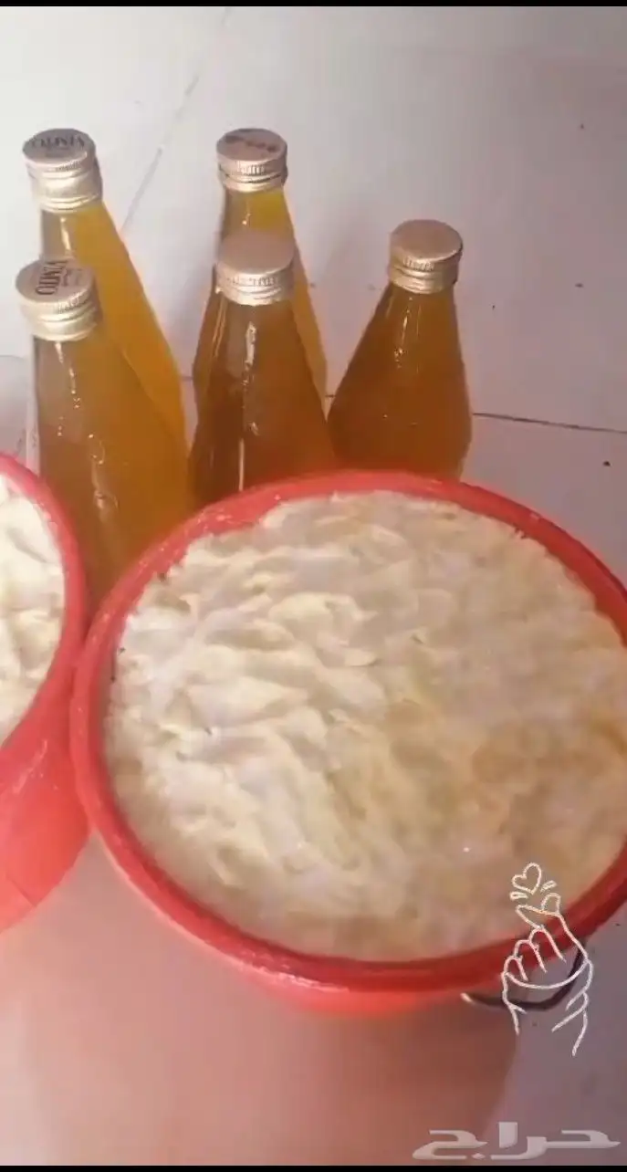 سمن بلدي سمن 0