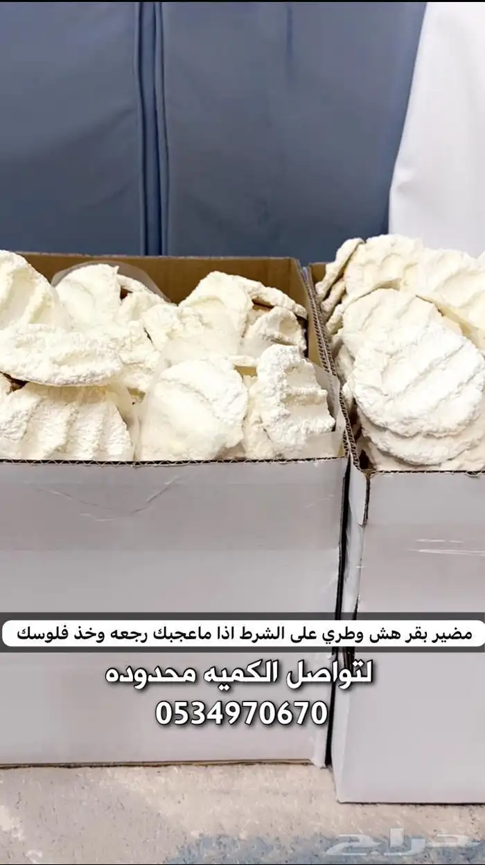 مضير بقر على الشرط 0