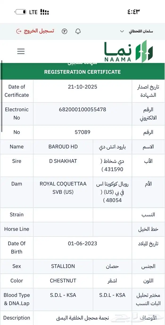 حصان ورق كفو كفو الحد 9 الف 5