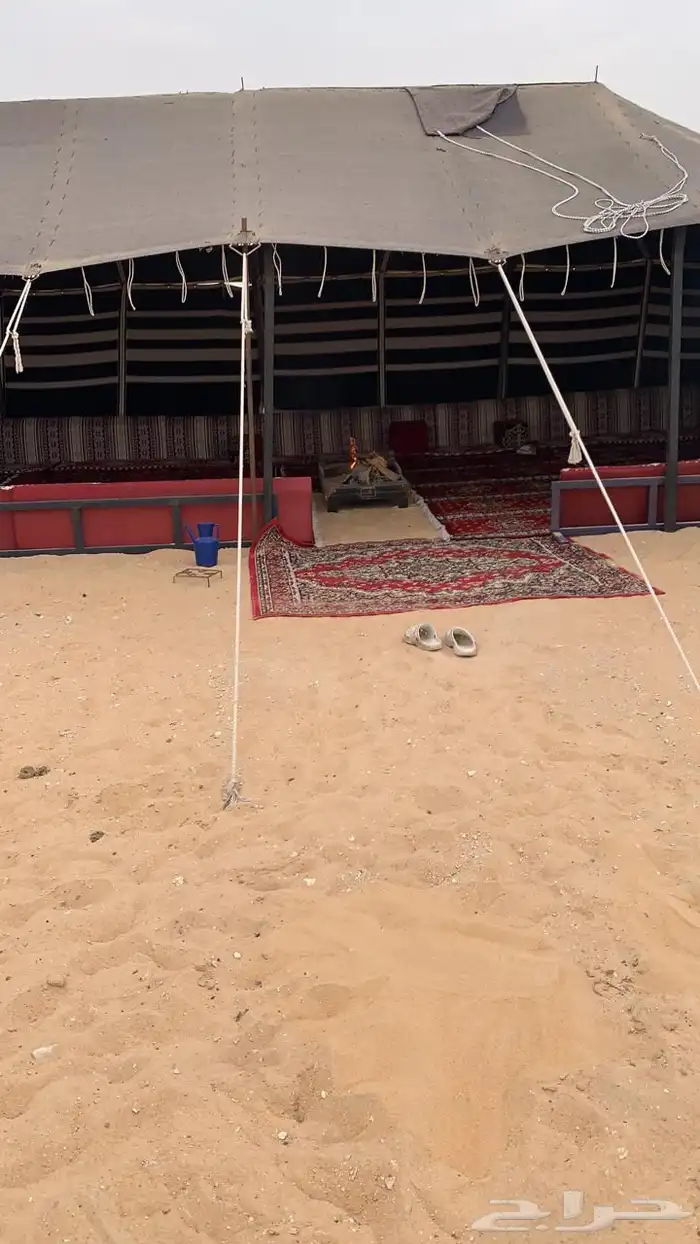 للبيع بيت شعر مع مقدمه 1