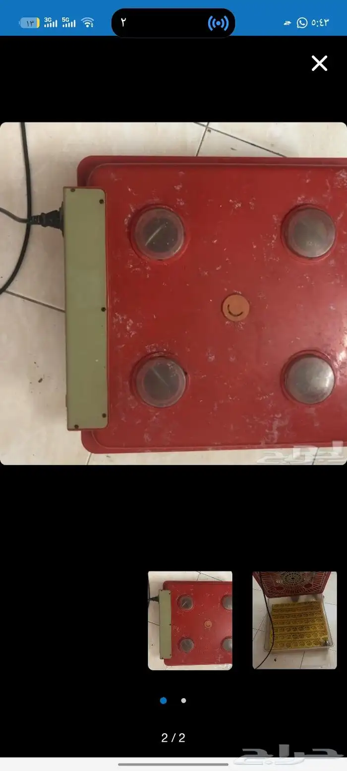 قفاسه اثنين نظيفه يدخل فيه 55يبض 1