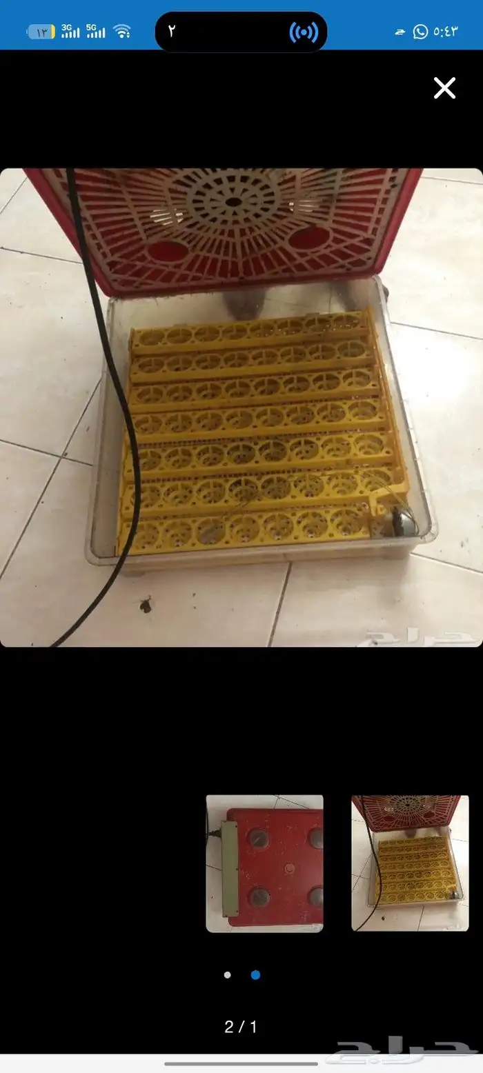 قفاسه اثنين نظيفه يدخل فيه 55يبض 0