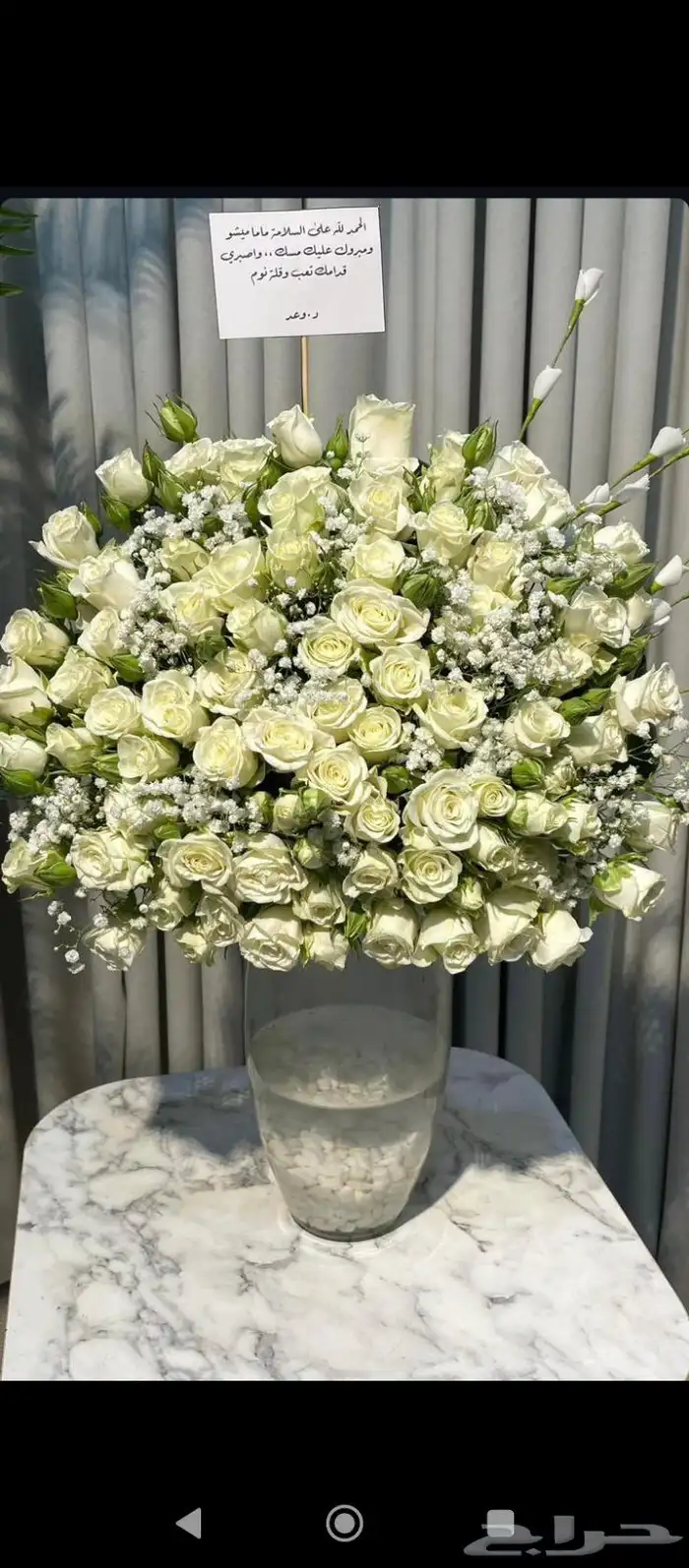 محل وردوهدايا احلى لمسه زفات شيلات 9