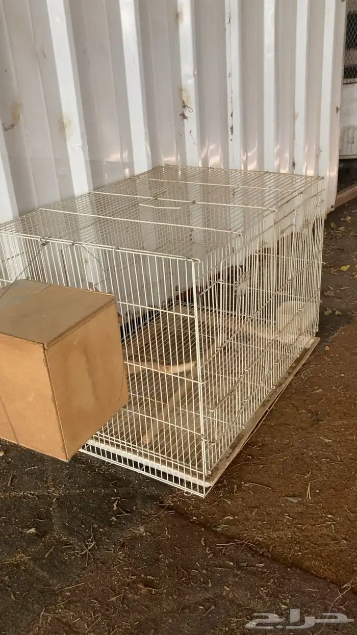قفص طيور للبيع . 0