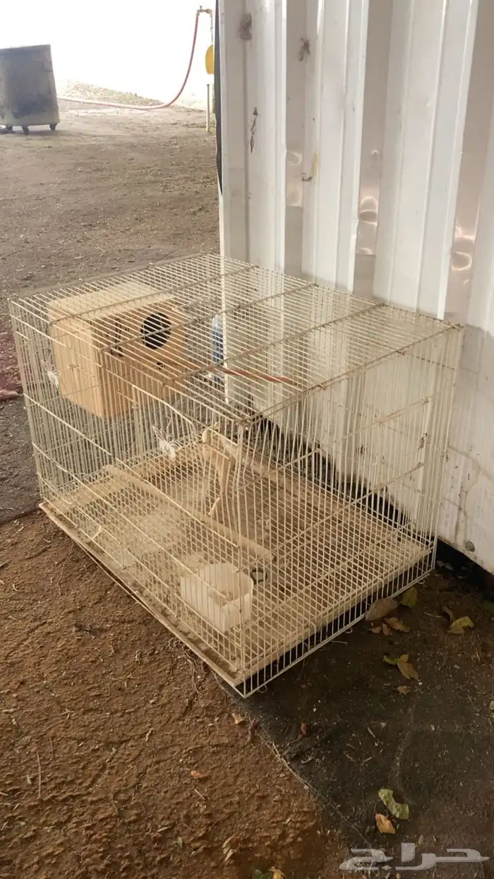 قفص طيور للبيع . 2