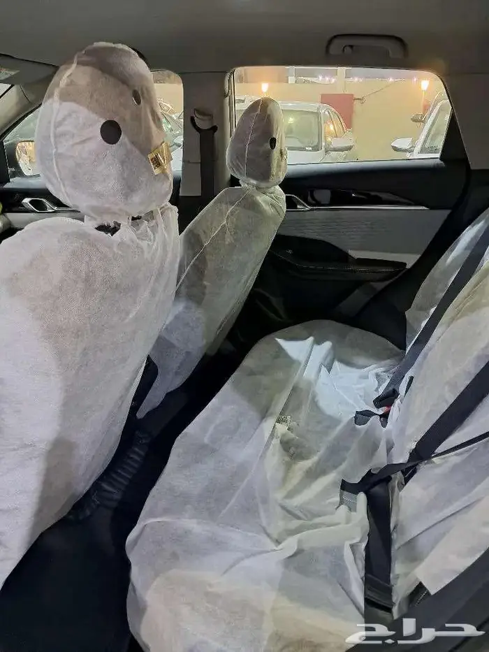 جيلي كول راي ستاندر 2024 6