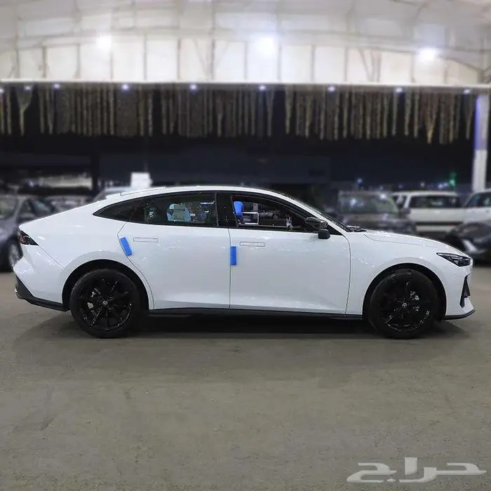 شانجان يونى فى ايليت 2026 2