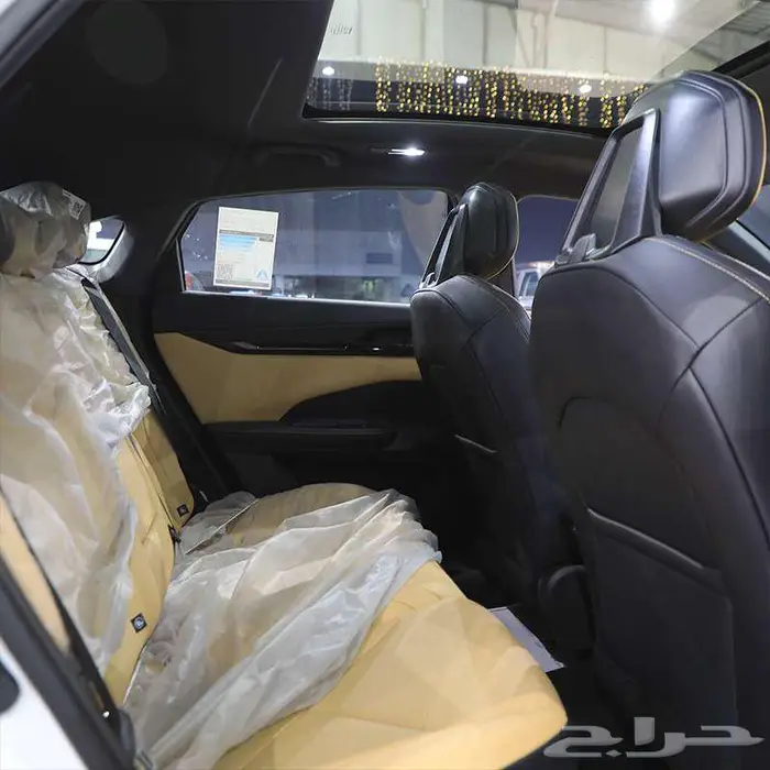 شانجان يونى فى ايليت 2026 3