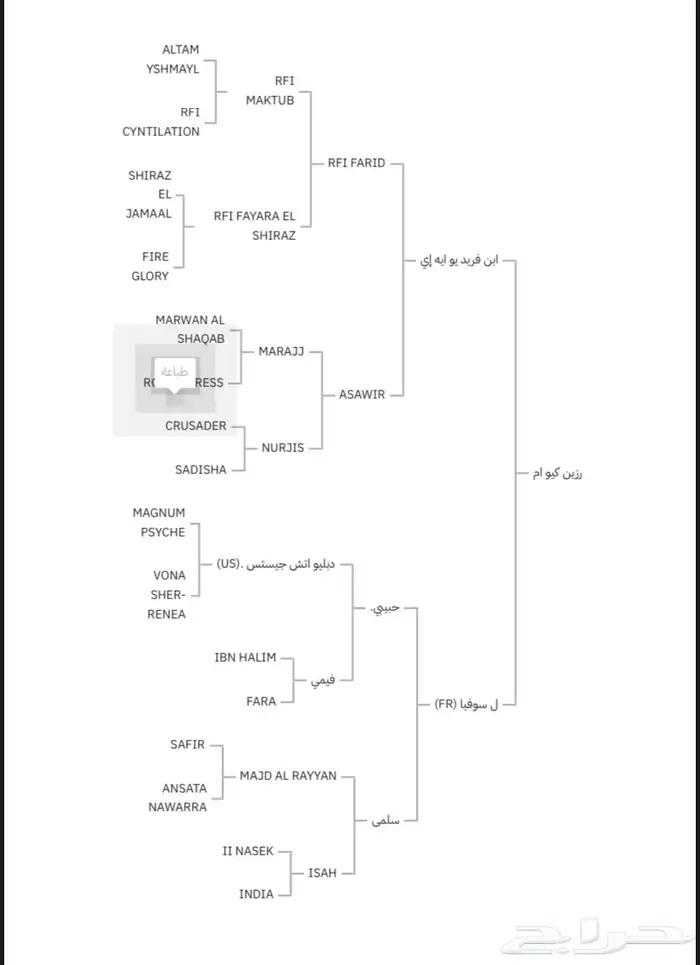 حصان واهو ولد ابن فريد 9