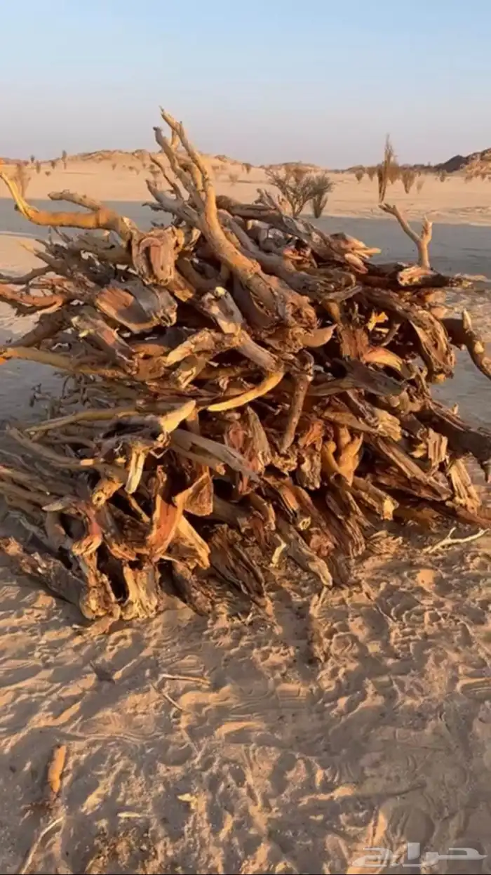 حطب مستورد 0