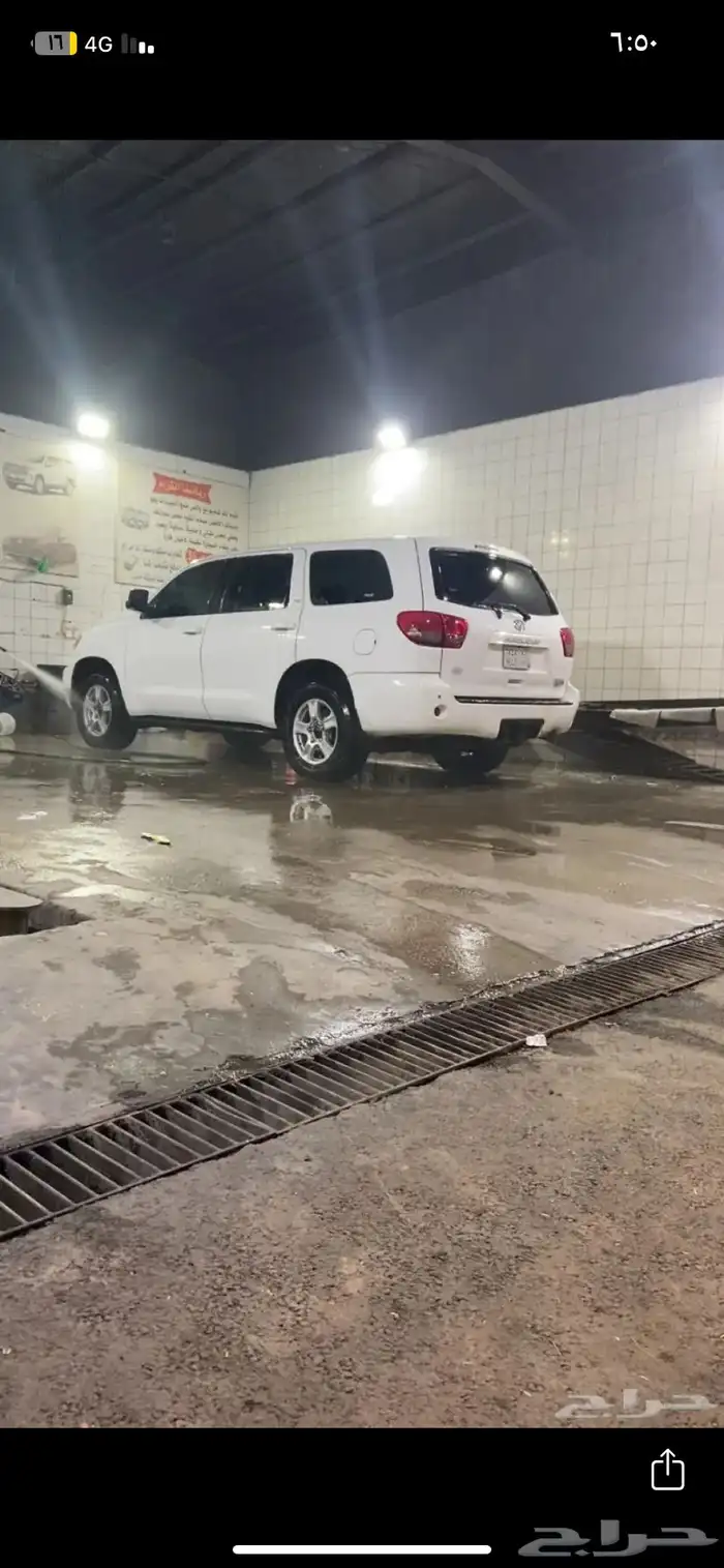 سكويا نضيف 1