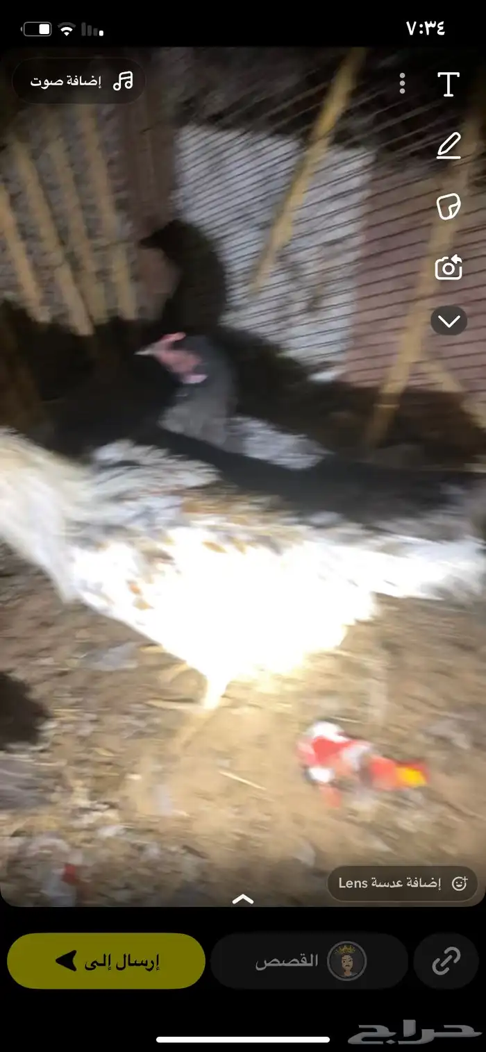 السلام عليكم 3