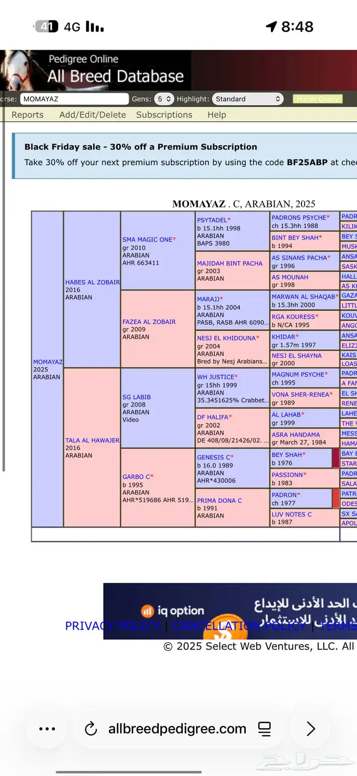 مهر فاخر ولد الاسطوره حابس الزبير 5