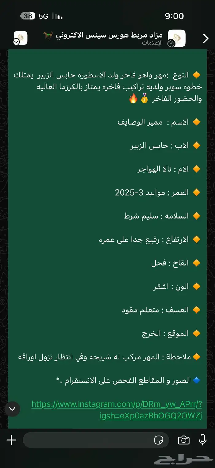 مهر فاخر ولد الاسطوره حابس الزبير 3