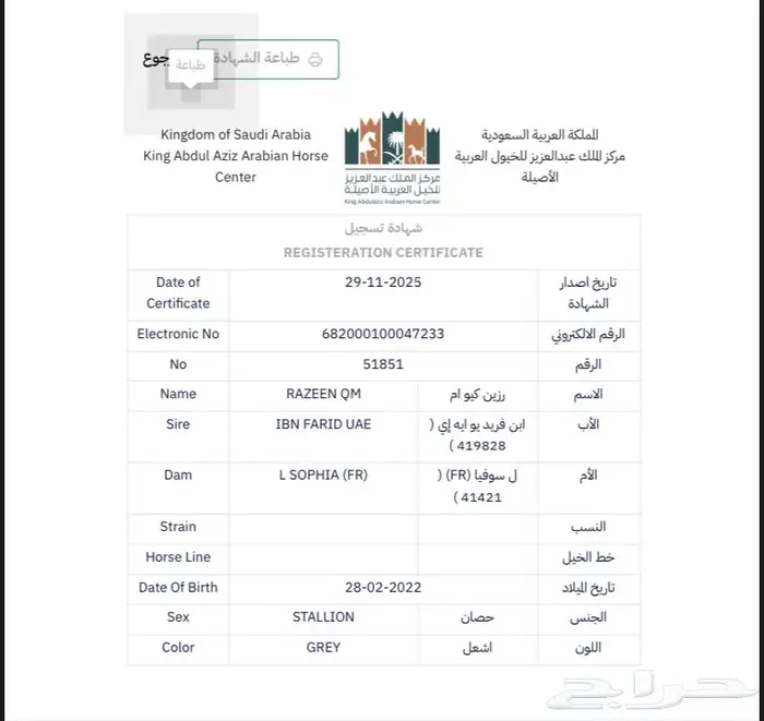 حصان واهو ولد ابن فريد 8