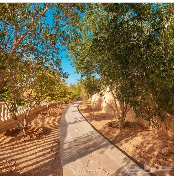 منتجع في العمارية للايجار مساحتة 4300متر 21