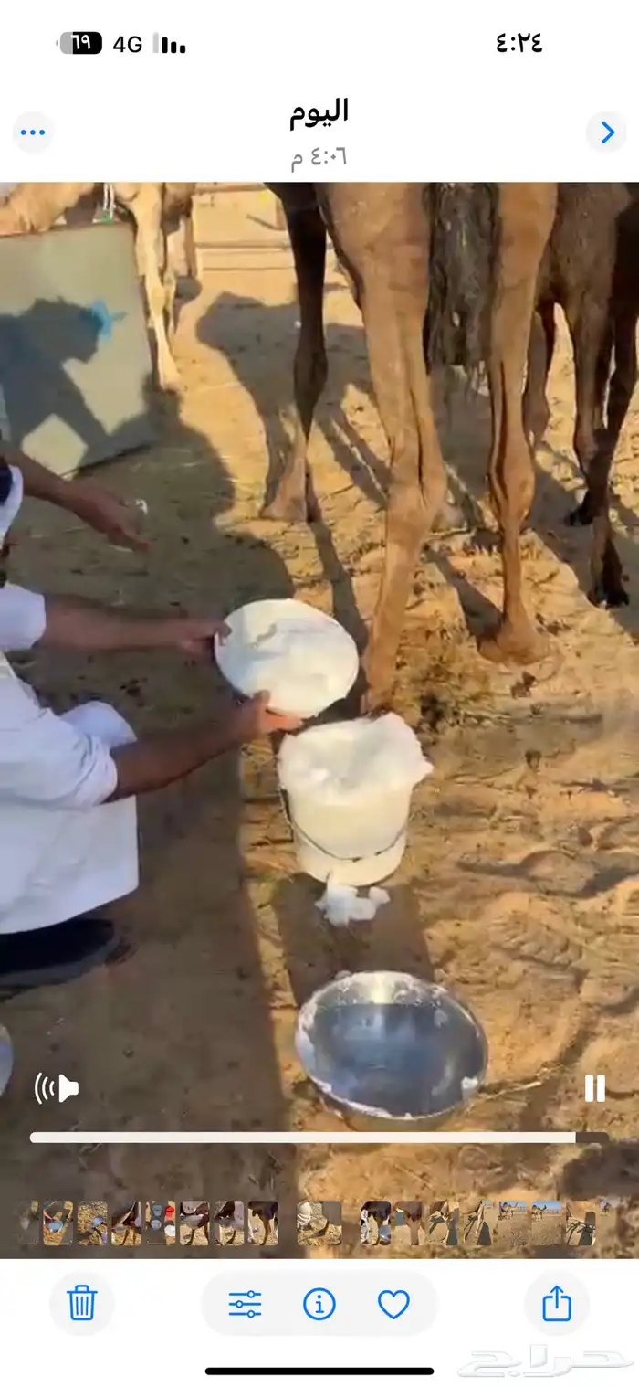 خلفه ماشاءالله كفو 1