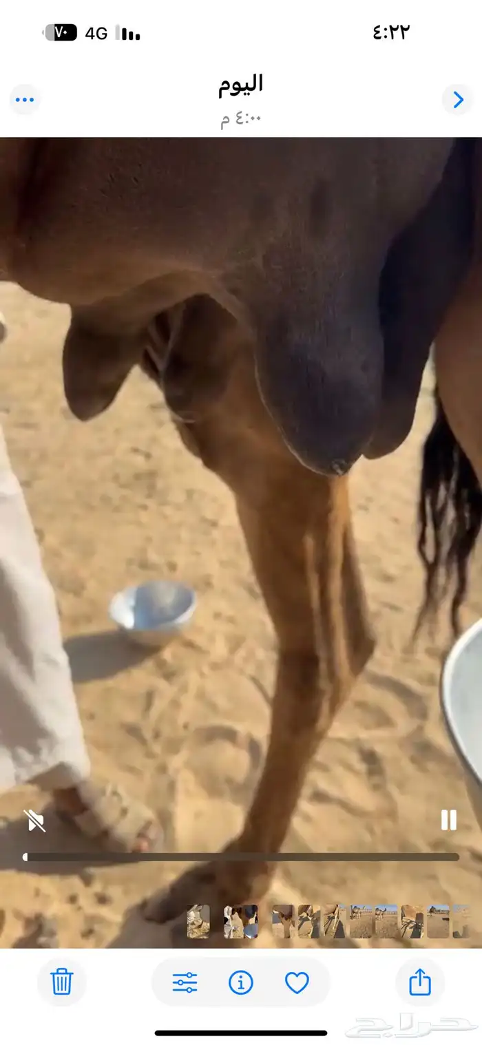 خلفه ماشاءالله كفو 5