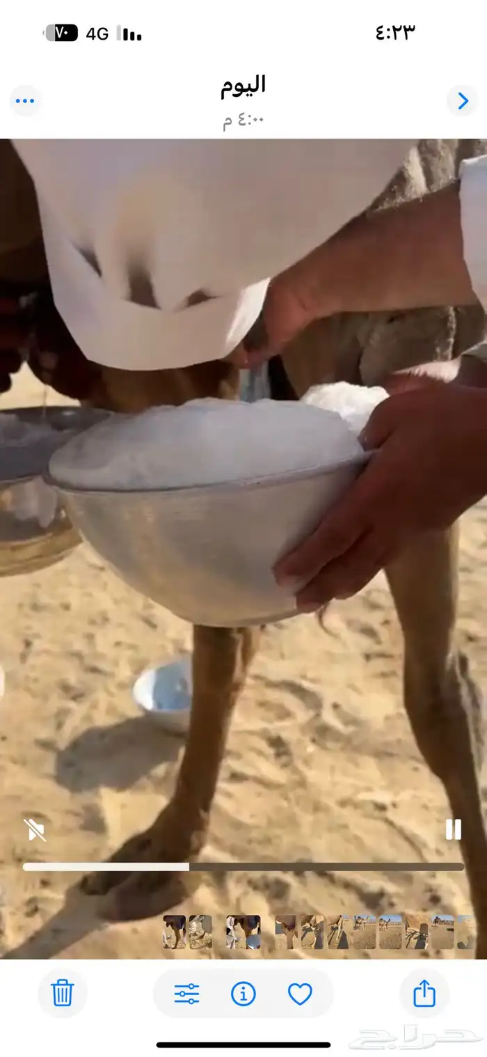 خلفه ماشاءالله كفو 7