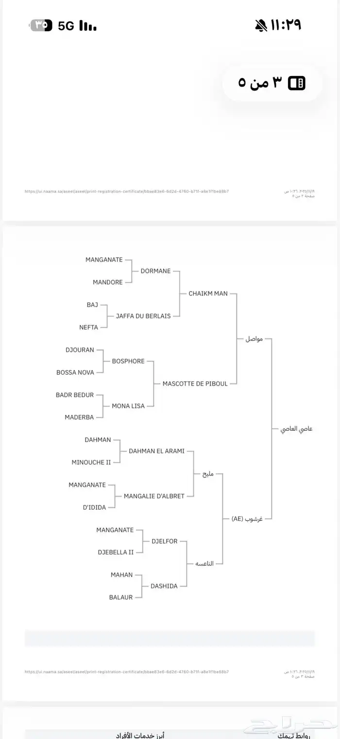 حصان واهو فرنسي جزيري 1