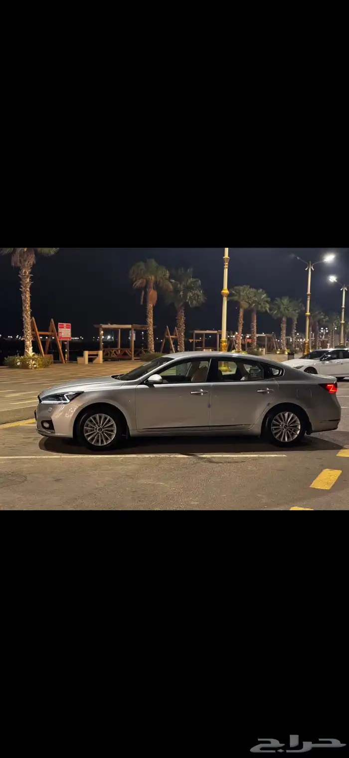 كادينزا 2017 ستاندر 7