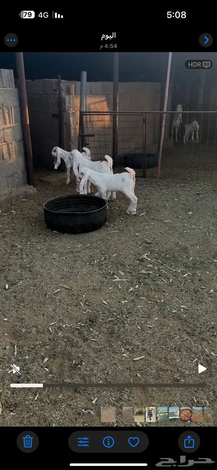 دواغير للبيع 1