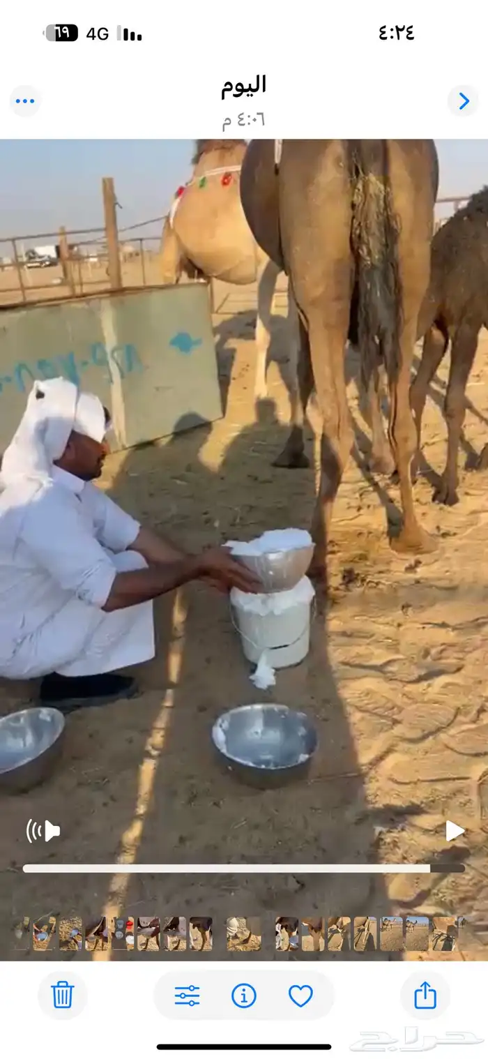 خلفه ماشاءالله كفو 4