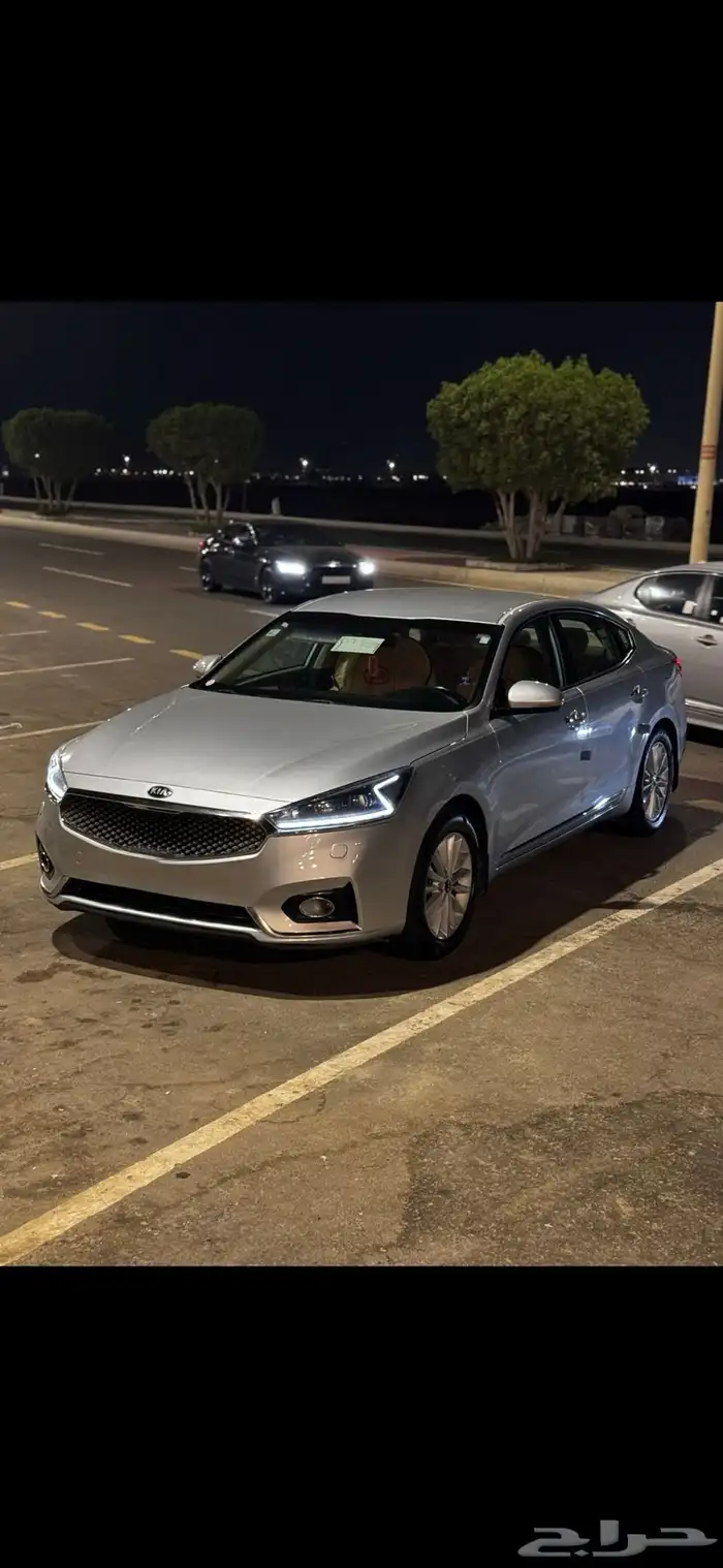 كادينزا 2017 ستاندر 10