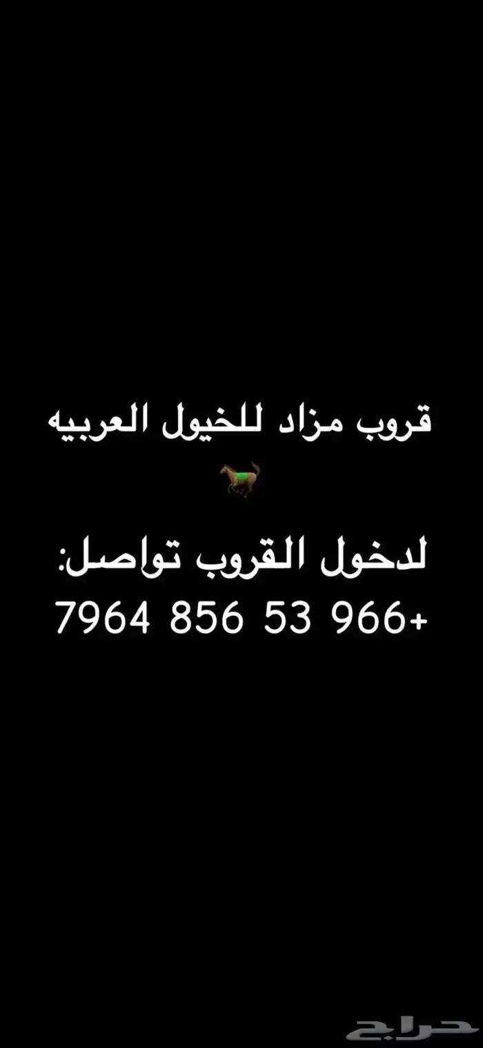 مزاد بيع جميع الخيول 0