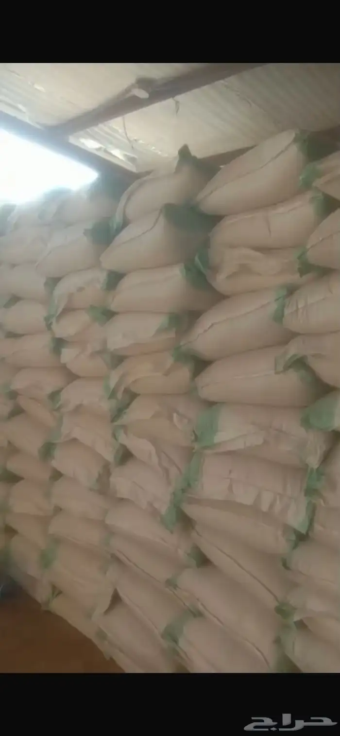 شعير سداسي مغربل جاهز وزن 50 كيلو   وزن 40 كيلو للكيس 4