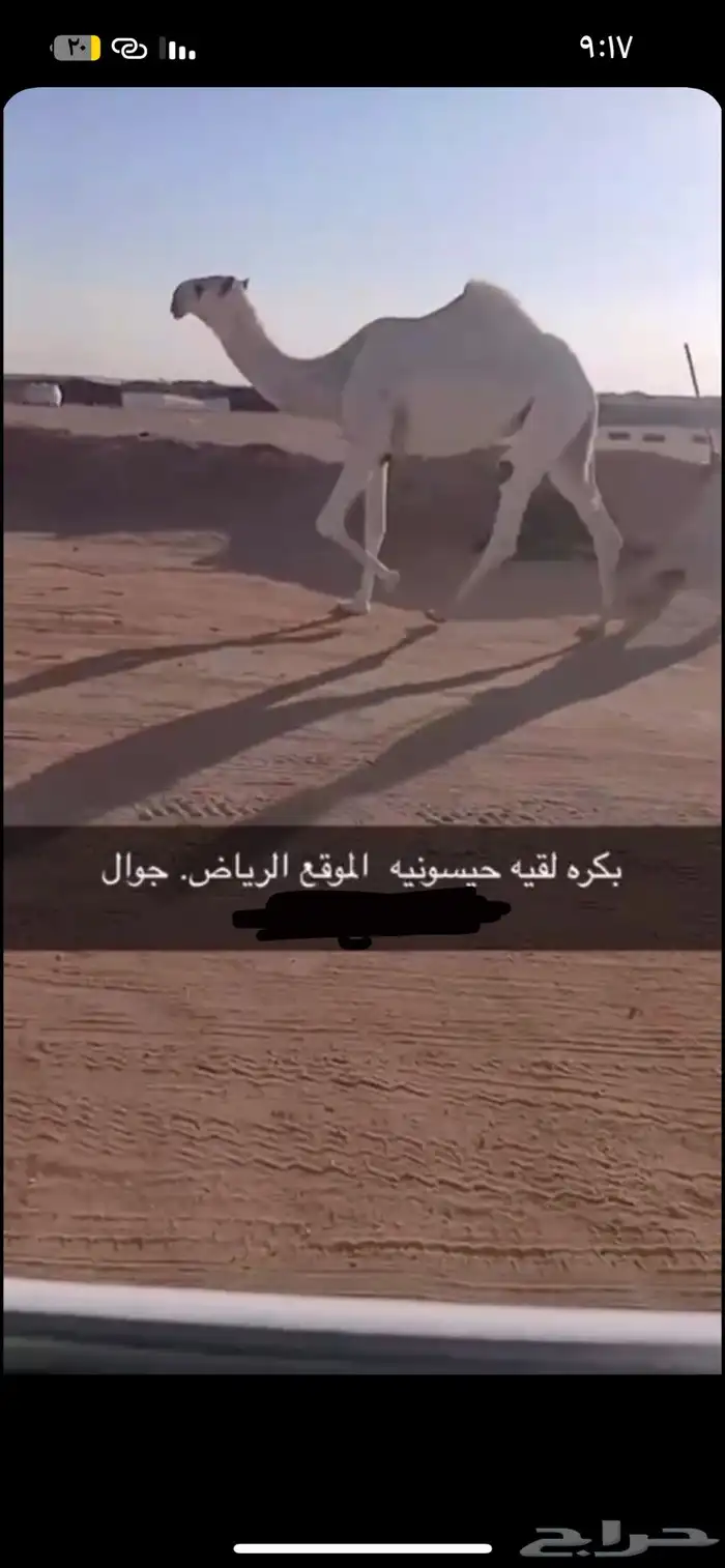 للبيع بكره 2