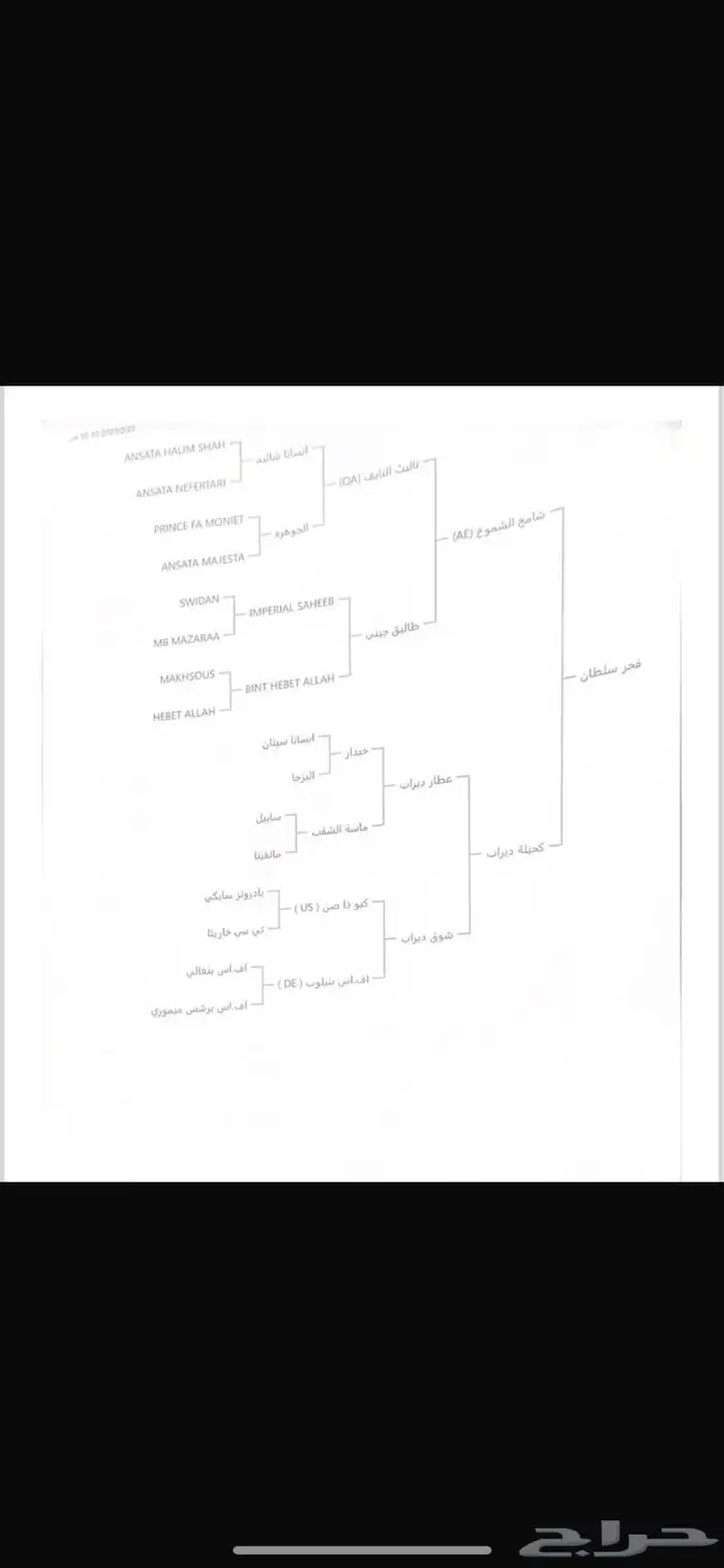 خيل عربيه اصيلة 3
