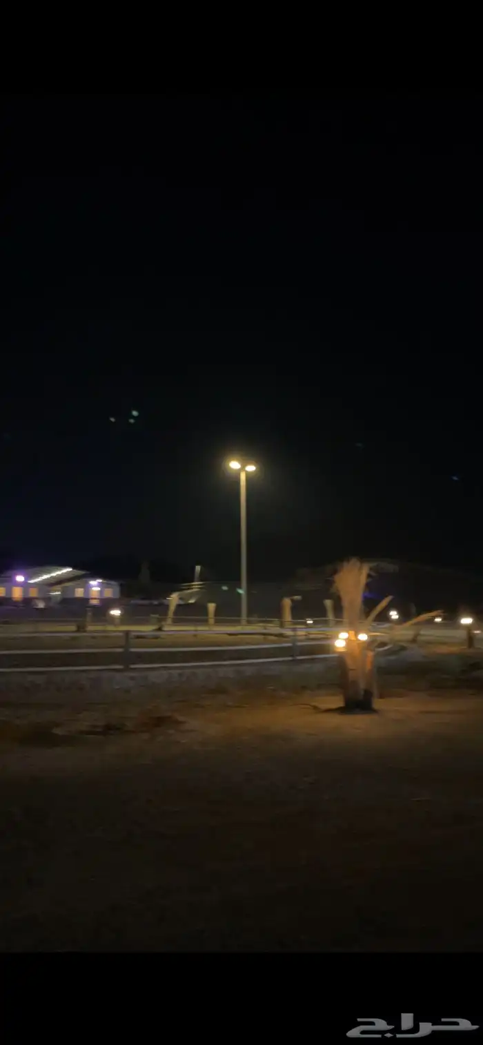 ايواء خيل-تدريب-عسف خيل-إعادة عسف-رحلات بحريه-رحلات بحريه 9