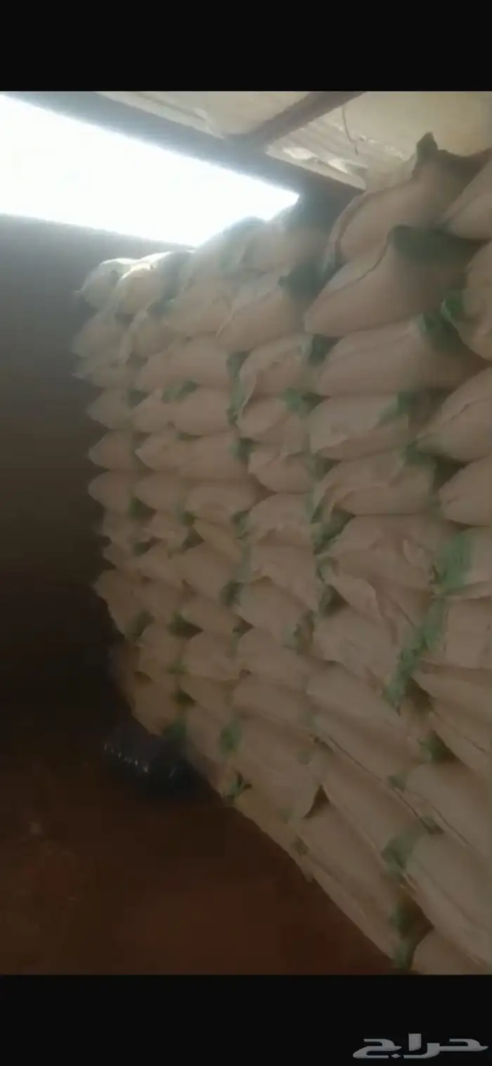 شعير سداسي مغربل جاهز وزن 50 كيلو   وزن 40 كيلو للكيس 3