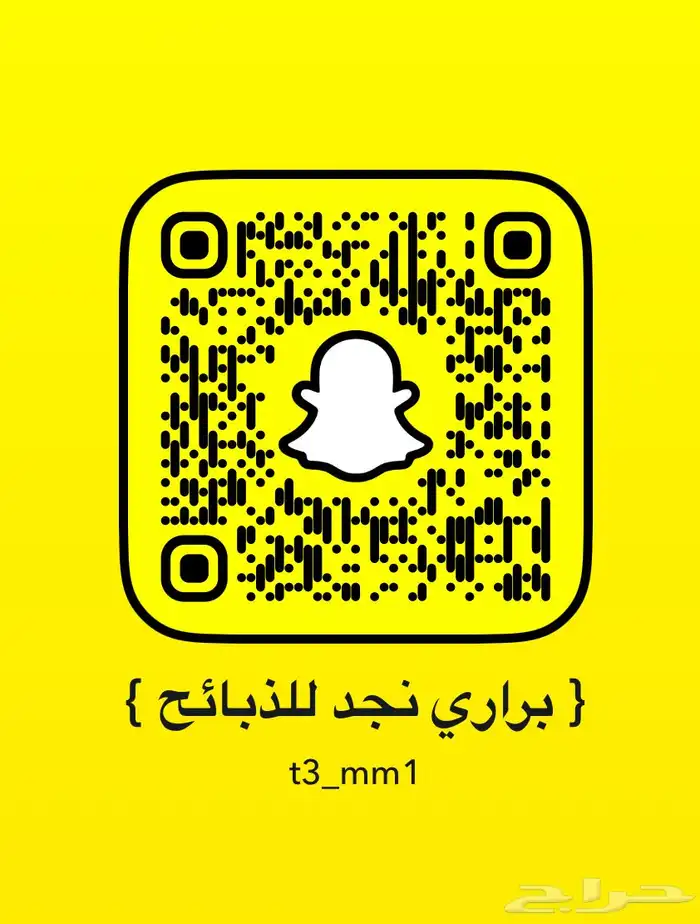 متوفر لدينا ذبايح برية بعفيف 5