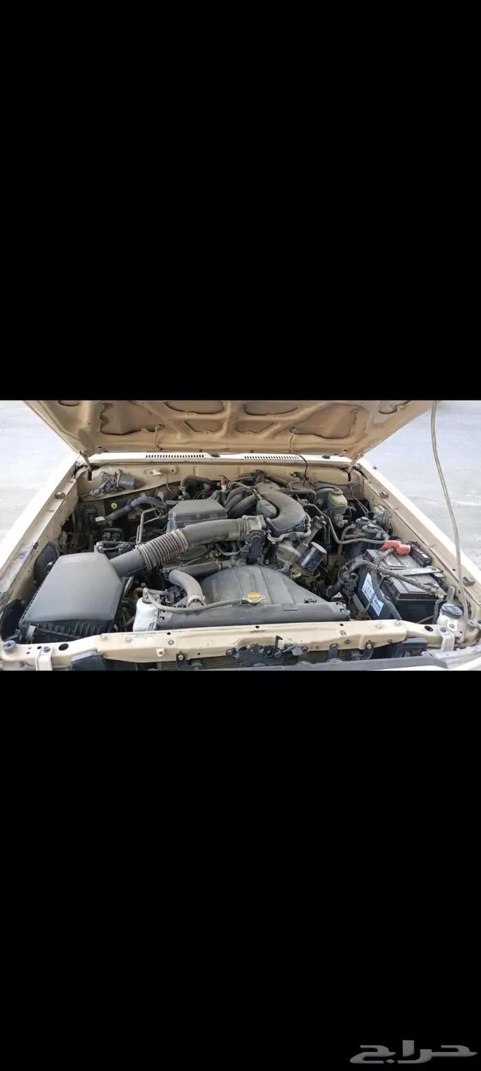 شاص بريمي وارد 30عام رفرف فل كامل 3