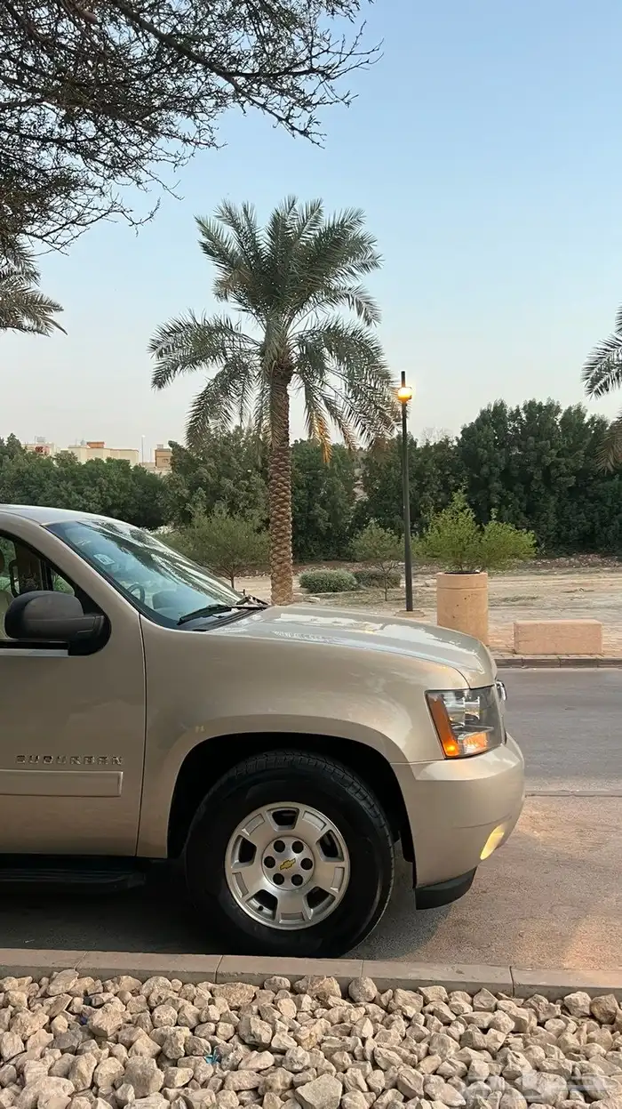 سوبربان 2012 مخزن وكالة سعودي 22