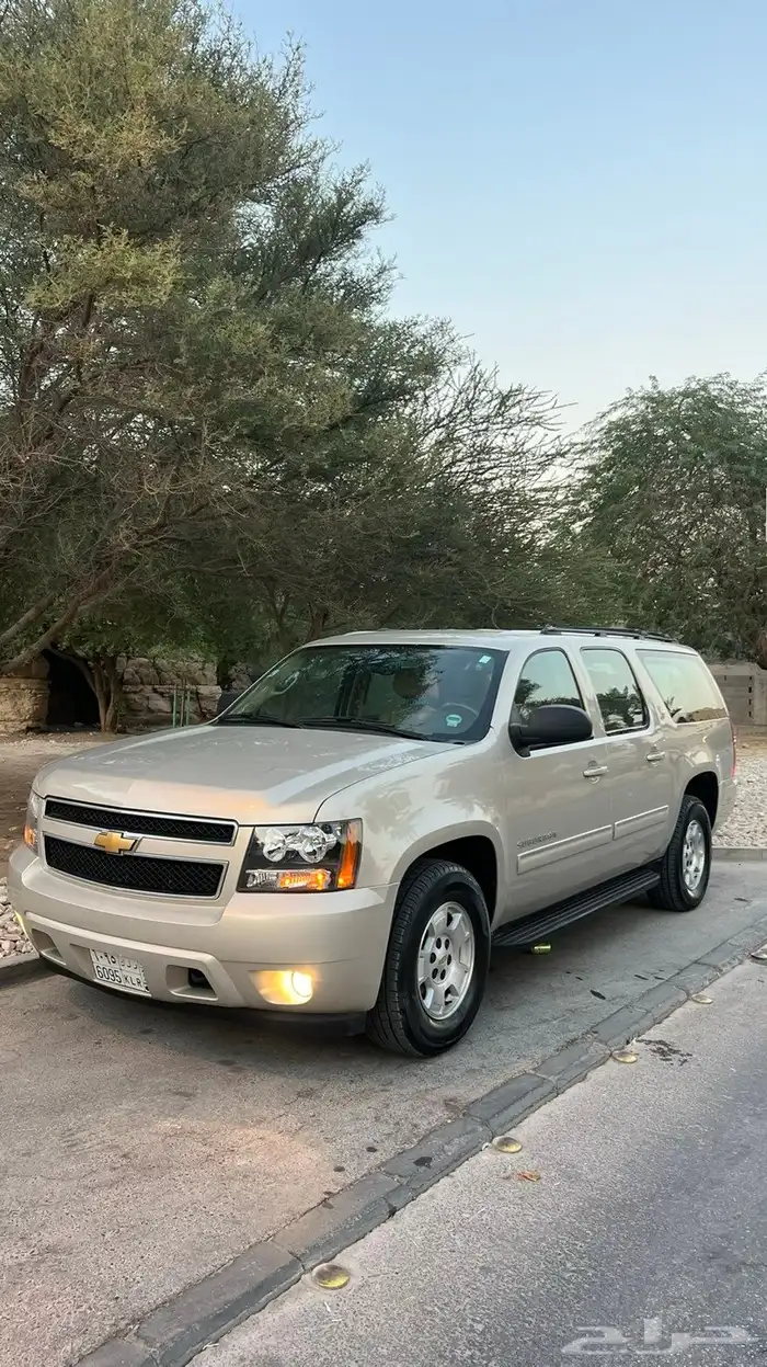 سوبربان 2012 مخزن وكالة سعودي 2