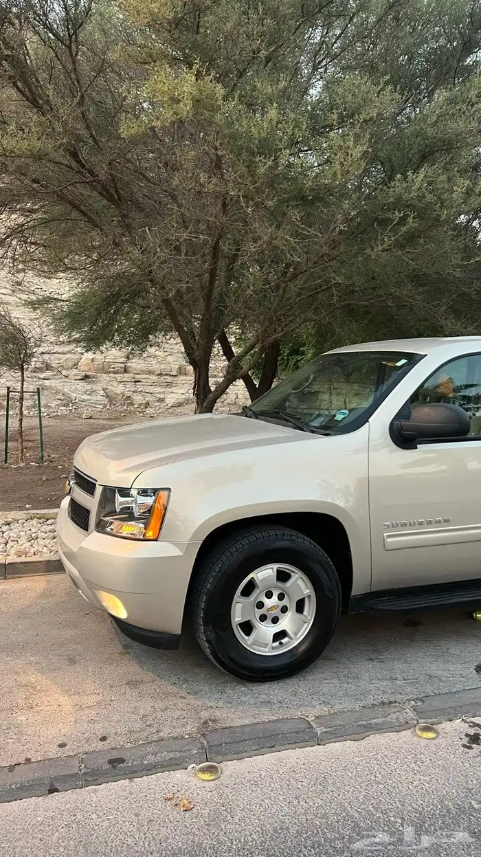 سوبربان 2012 مخزن وكالة سعودي 19