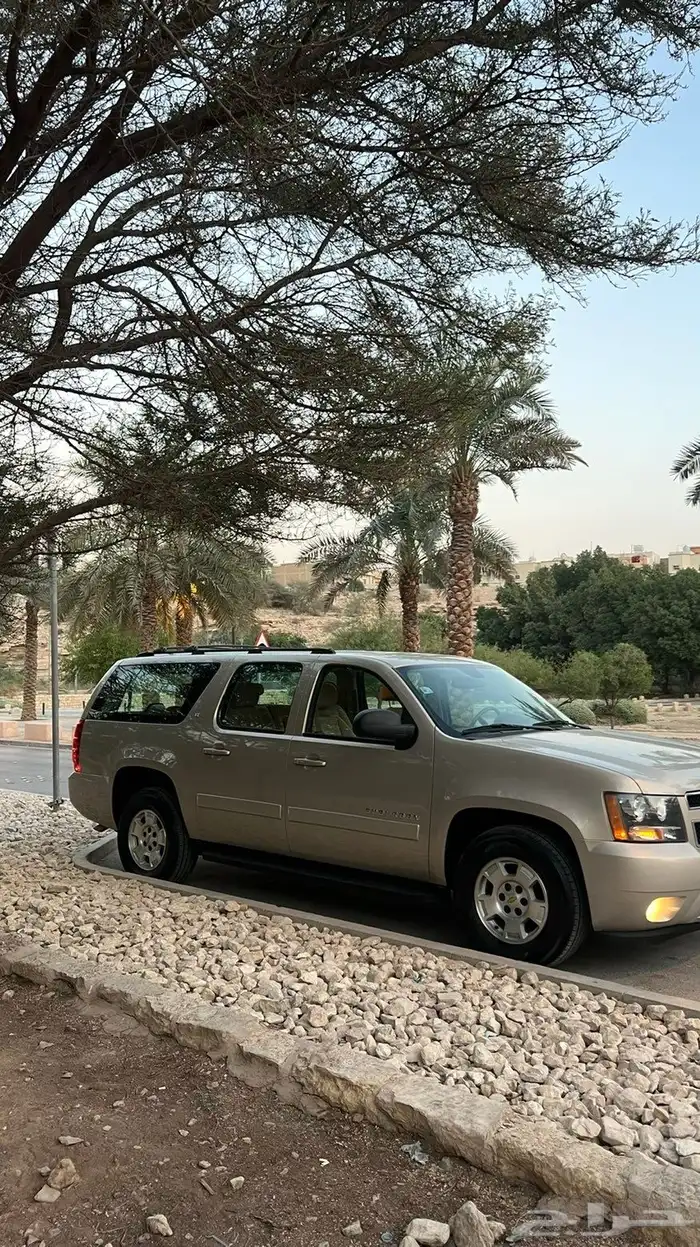 سوبربان 2012 مخزن وكالة سعودي 5