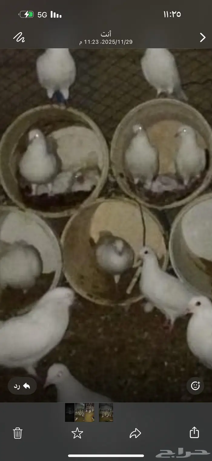 حمام فرنسي منتج 2